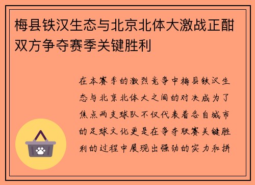 梅县铁汉生态与北京北体大激战正酣双方争夺赛季关键胜利