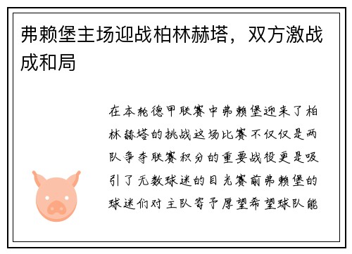 弗赖堡主场迎战柏林赫塔，双方激战成和局