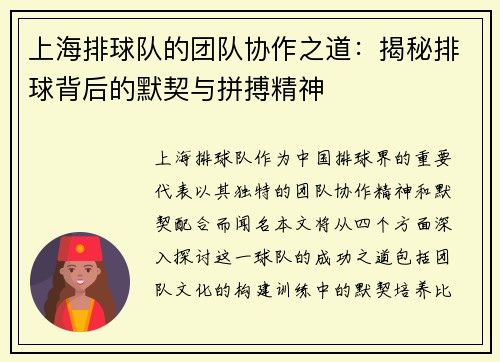 上海排球队的团队协作之道：揭秘排球背后的默契与拼搏精神
