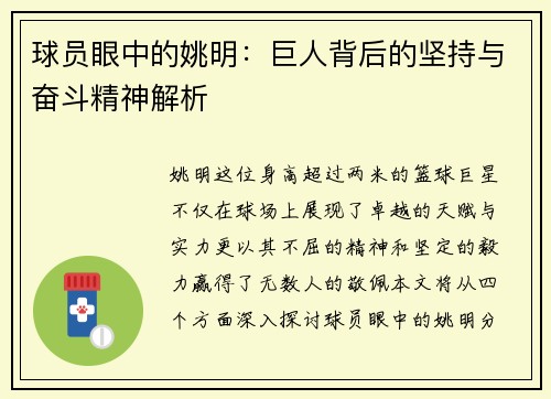 球员眼中的姚明：巨人背后的坚持与奋斗精神解析