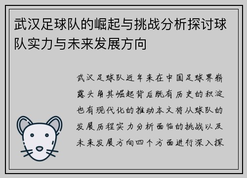 武汉足球队的崛起与挑战分析探讨球队实力与未来发展方向